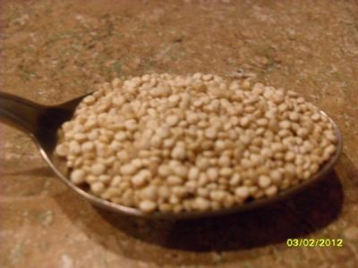 Quinoa In Spoon Quinoa In Spoon