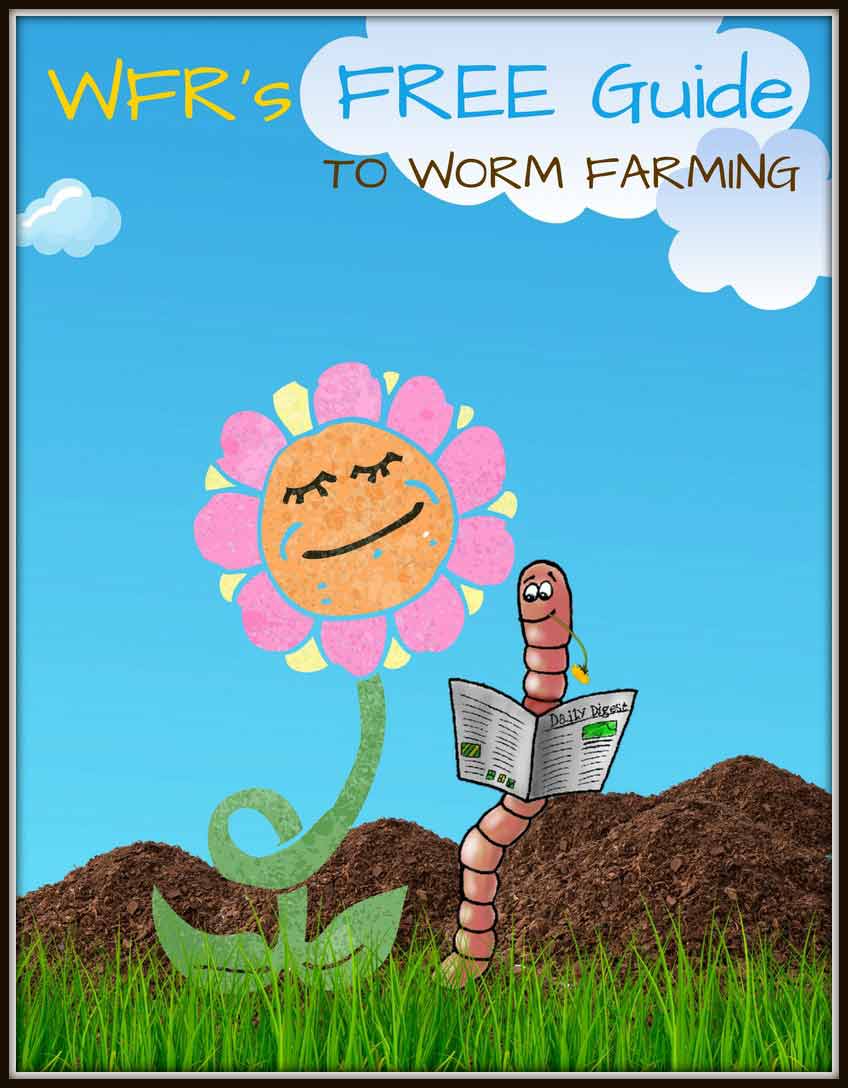 Worm Farming Pests
