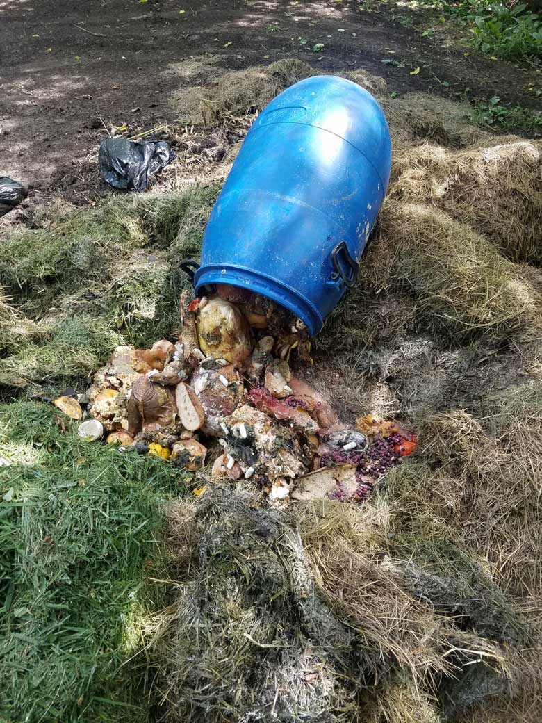 Composting Book Brown Thumb Green Thumb