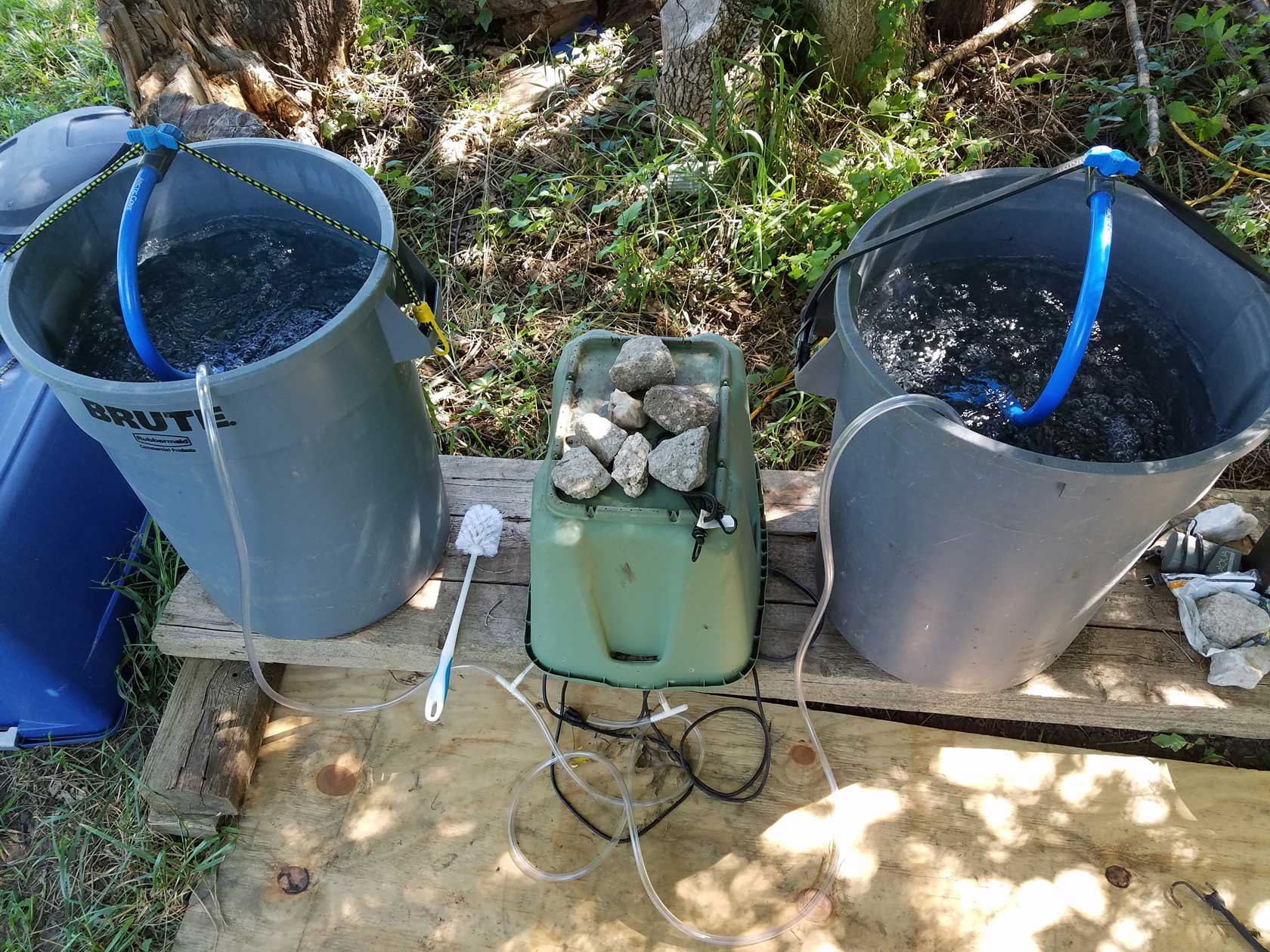 Compost tea Book Brown Thumb Green Thumb