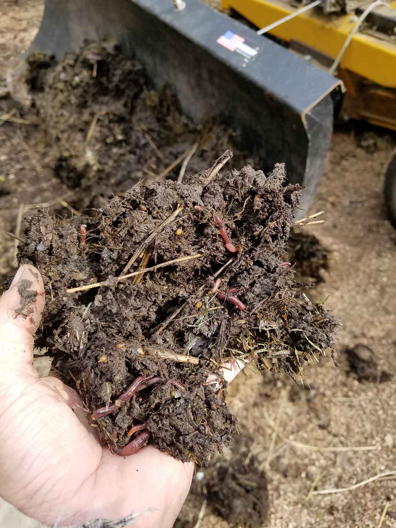 Gardening Book Brown Thumb Green Thumb