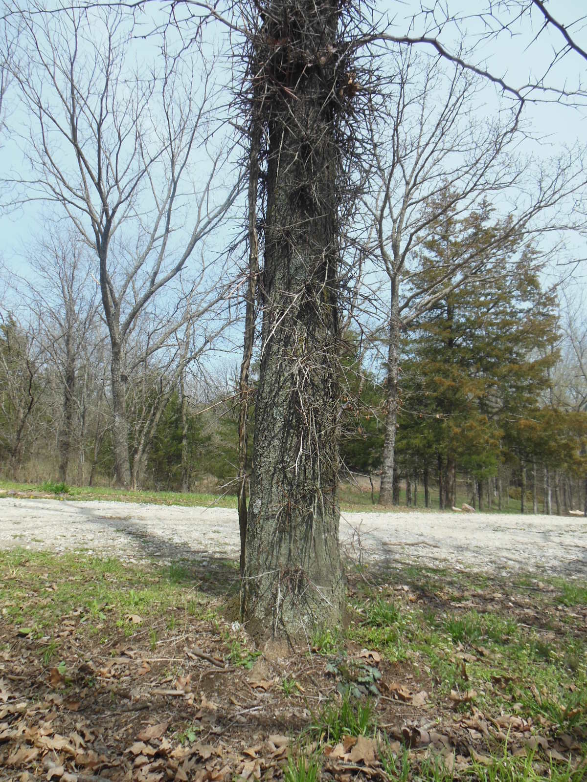 Embrace Your Challenges