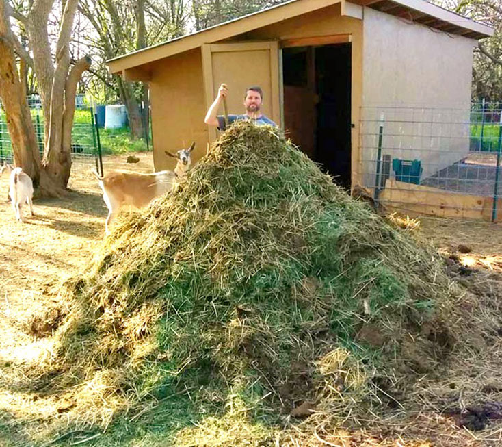 compost pile with goat manure and hay