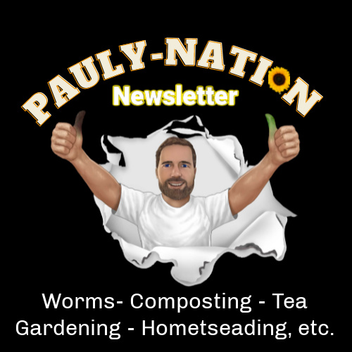 Pauly-Nation-Newsletter-logo.jpg Pauly-Nation-Newsletter-logo.jpg