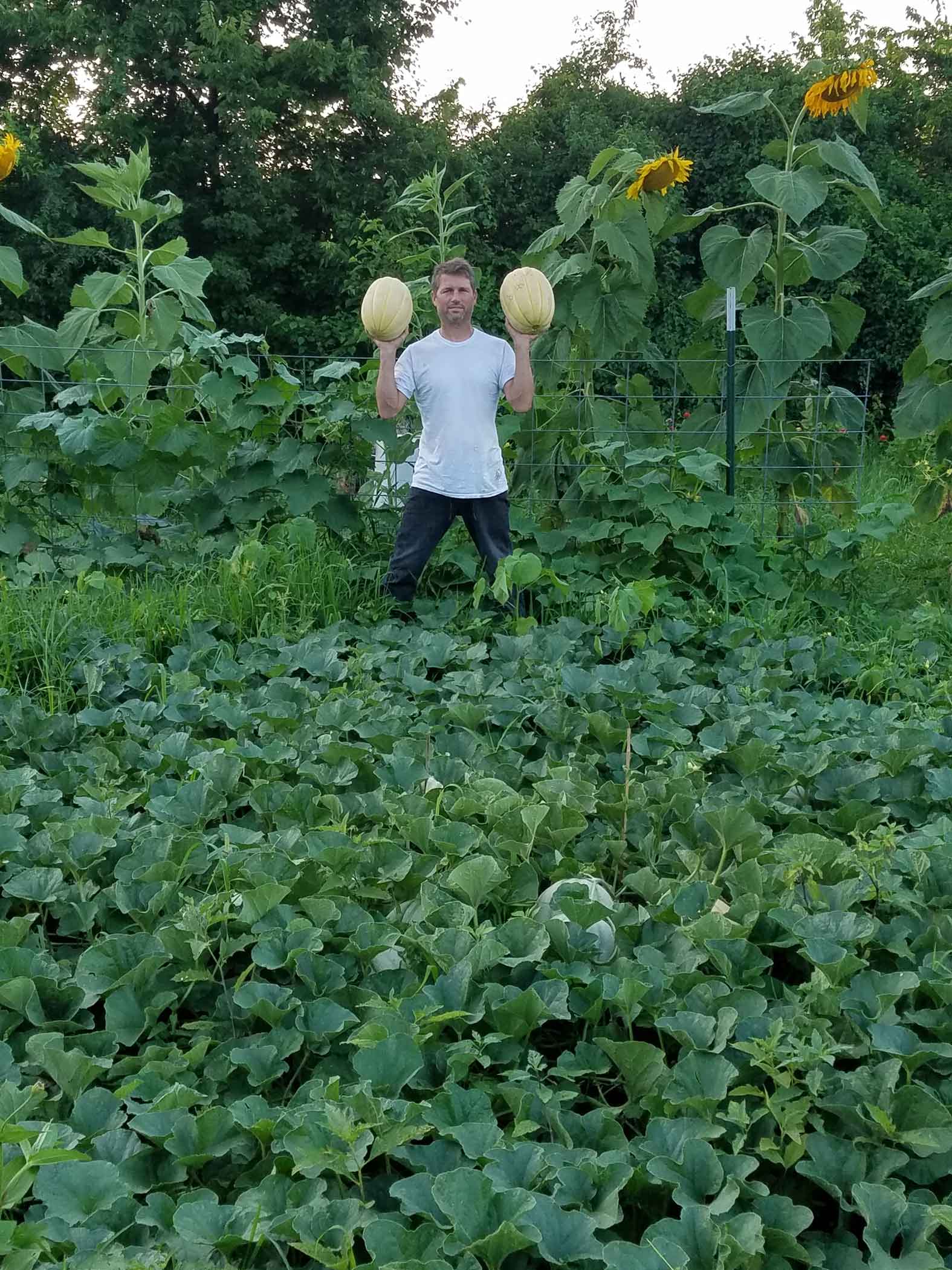 Grow like a pro Brown Thumb Green Thumb