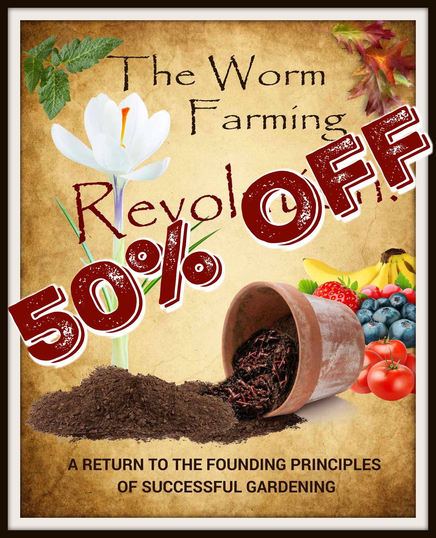Buy Worms Locally