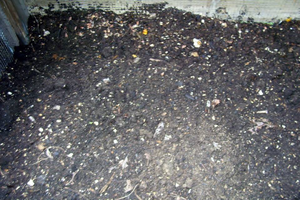 Roberts Flow Through Outdoor Vermicompost SystemPic 0013 Roberts Flow Through Outdoor Vermicompost SystemPic 0013