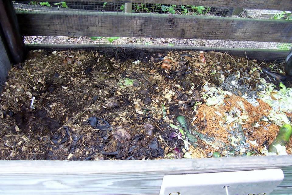 Roberts Flow Through Outdoor Vermicompost SystemPic 0006a Roberts Flow Through Outdoor Vermicompost SystemPic 0006a
