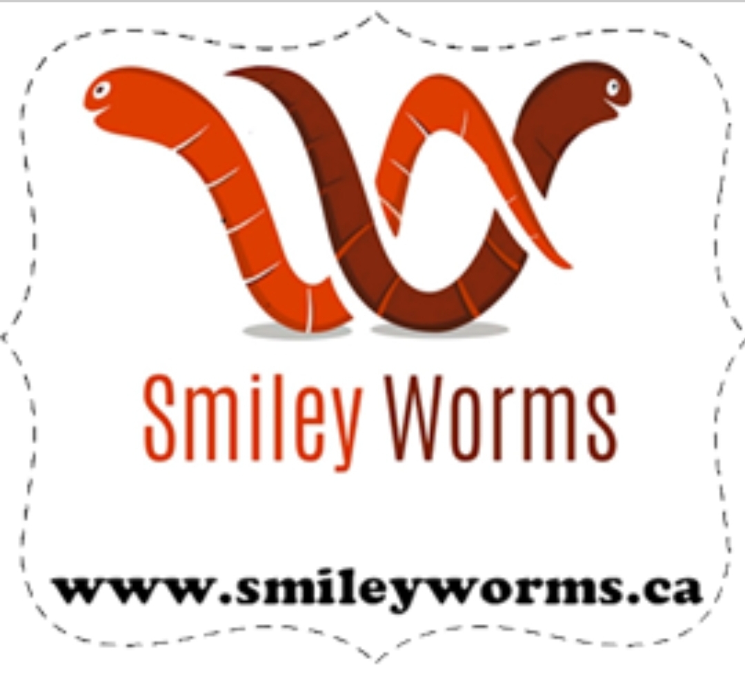 Buy Worms in Brandon Manitoba