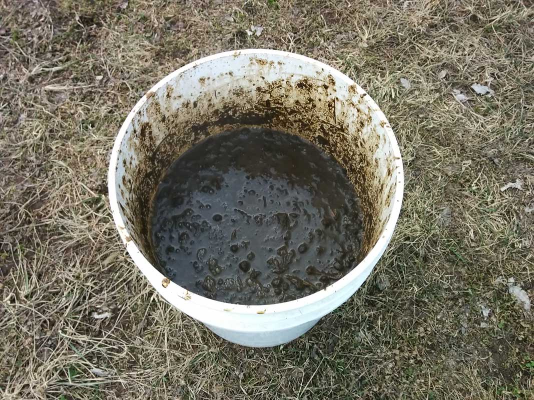 Compost Tea Extract
