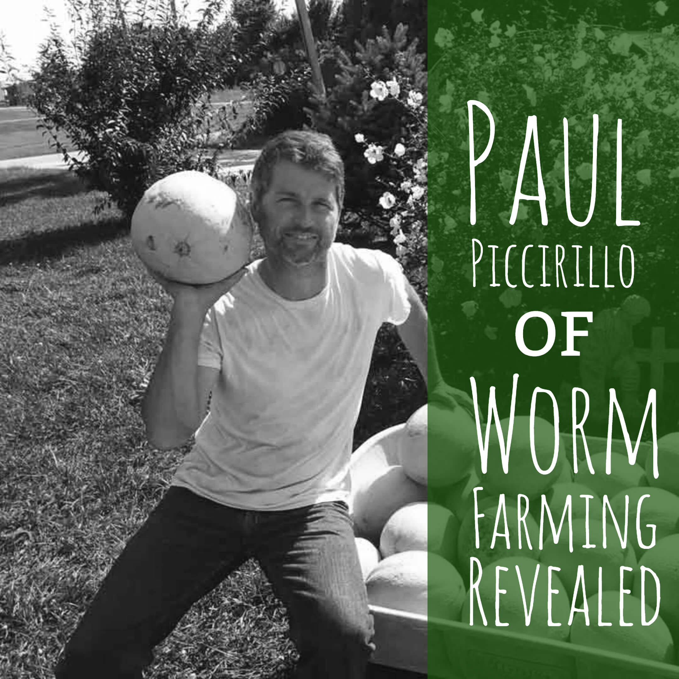 Interviews with Steve Churchill of Urban Worm Company