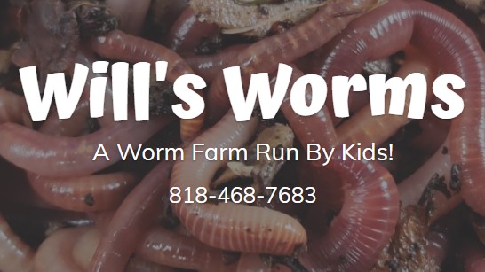 buy worms in California Wills Worms