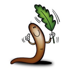 Buy Worms in Missouri From Worms Etc