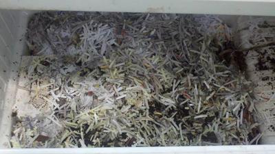 Inside pic of freezer