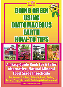 Diatomaceous Earth Book