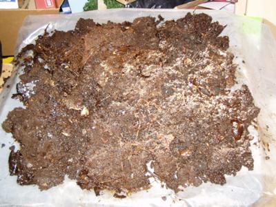 Worm castings spread out to dry