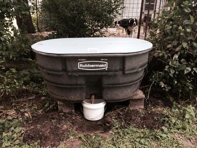 My Successful Worm Farming System