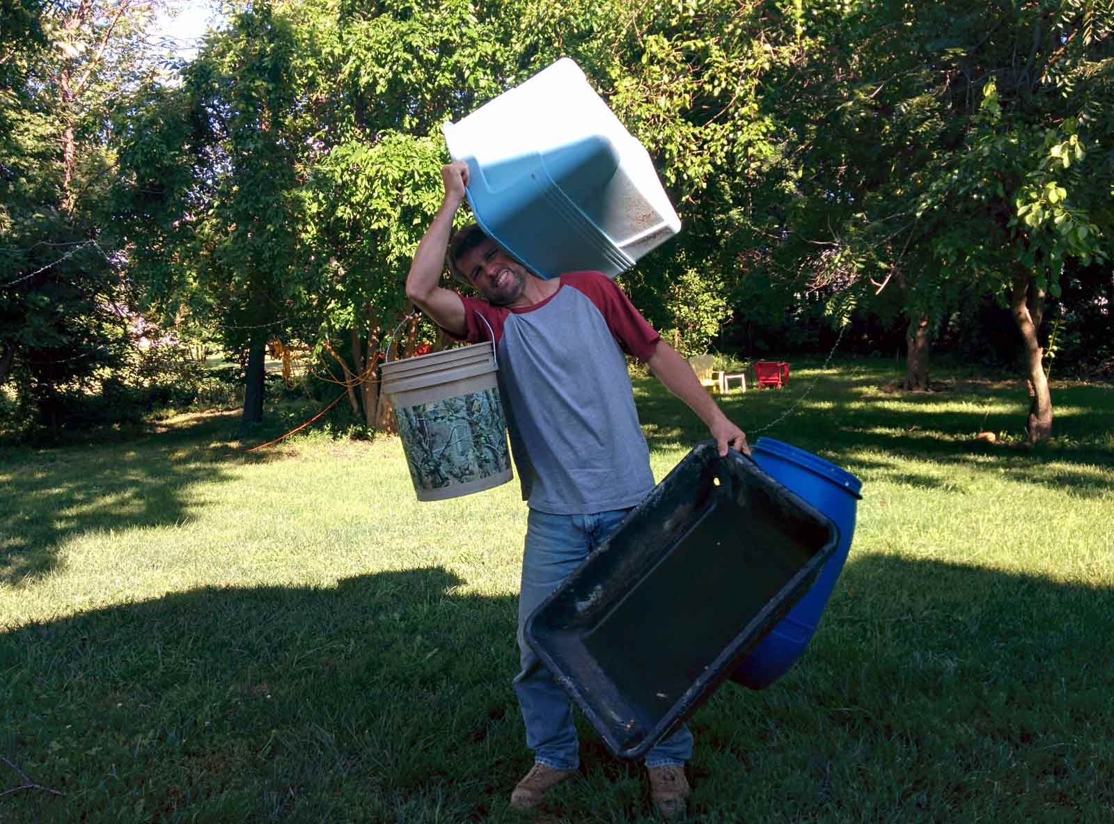 Raise Worms In Anything