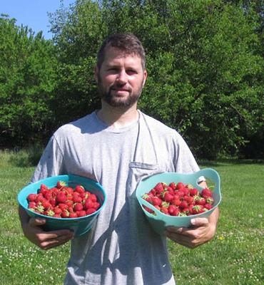 Second strawberry harvest of 2010