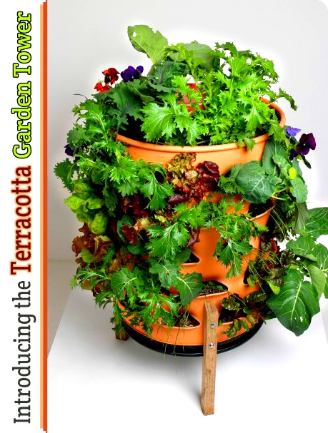 Vertical Gardening