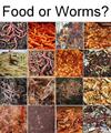 Food or Worms?