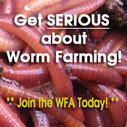 Worm Farming Business Community
