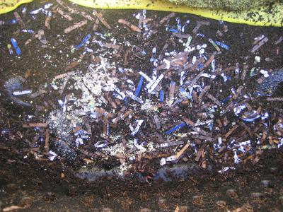 Bedding after a month.