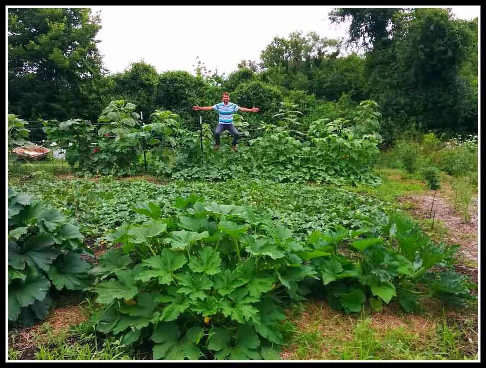 Brown Thumb Green Thumb