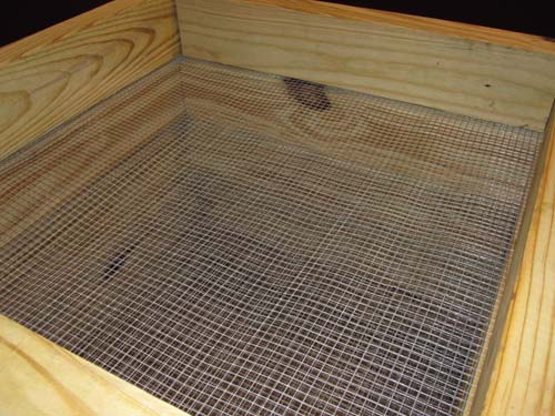 How To Make An Earthworm Bed How To Make An Earthworm Bed